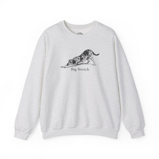 Catahoula Leopard Dog Apparel & Gifts