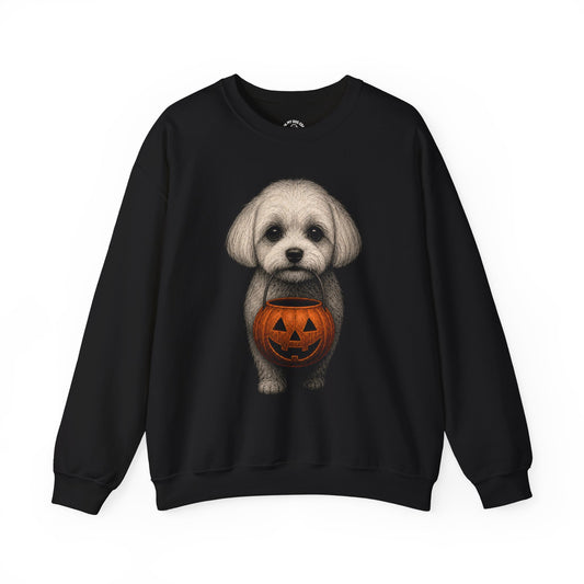 Maltese Halloween Sweatshirt – Boop or Treat