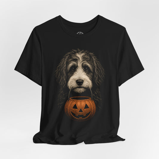 Aussiedoodle Halloween T-Shirt – Boop or Treat