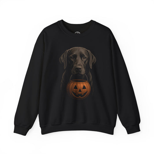 Chocolate Labrador Retriever Halloween Sweatshirt – Boop or Treat