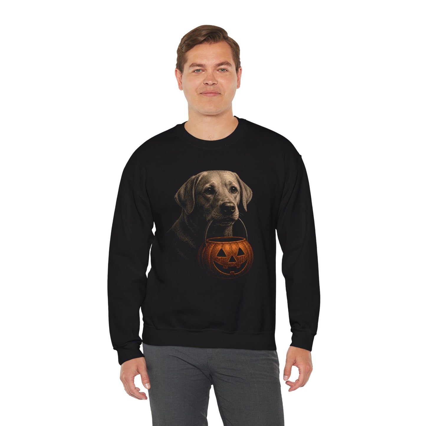 Yellow Labrador Retriever Halloween Sweatshirt – Boop or Treat