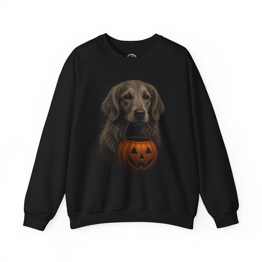 Golden Retriever Halloween Sweatshirt – Boop or Treat