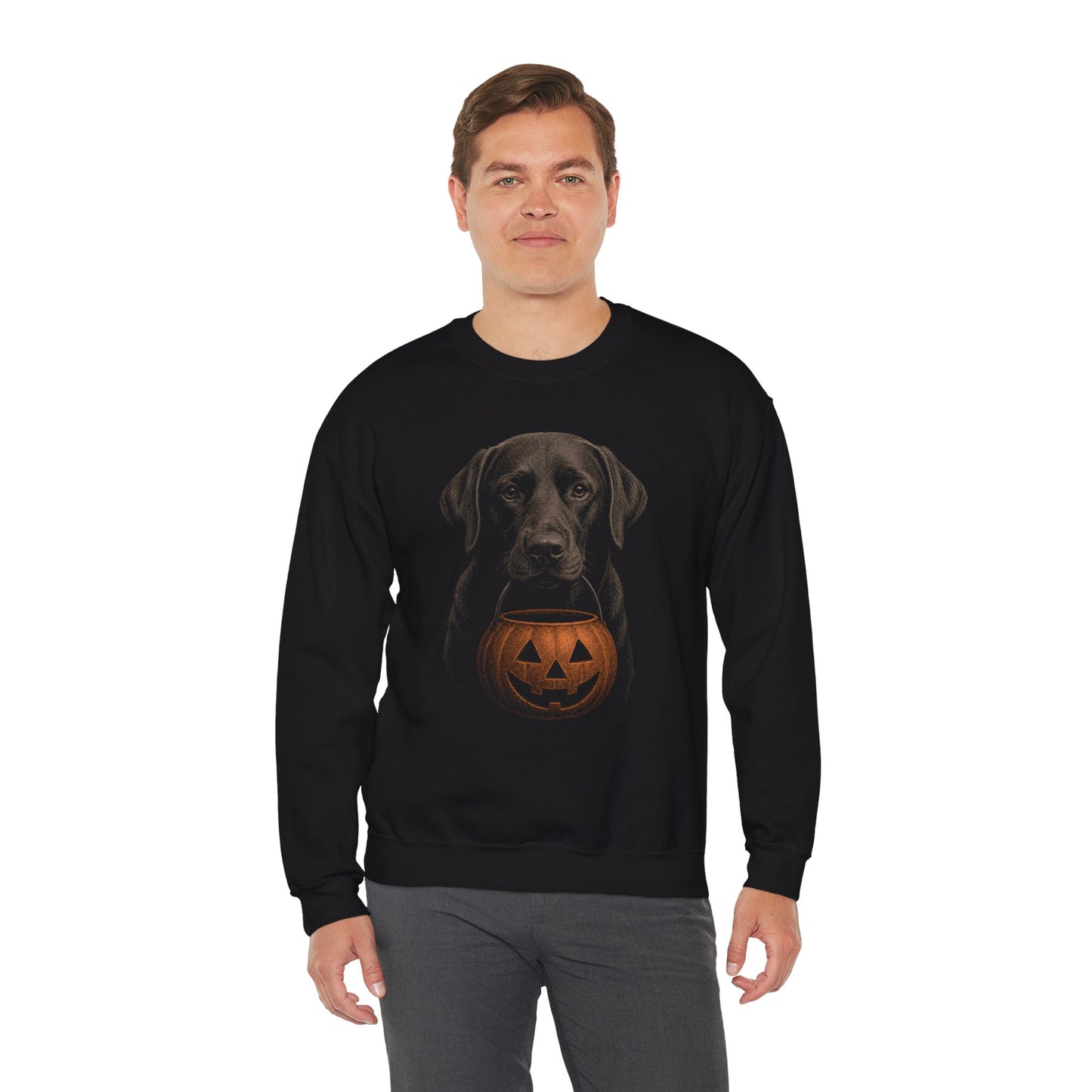 Chocolate Labrador Retriever Halloween Sweatshirt – Boop or Treat