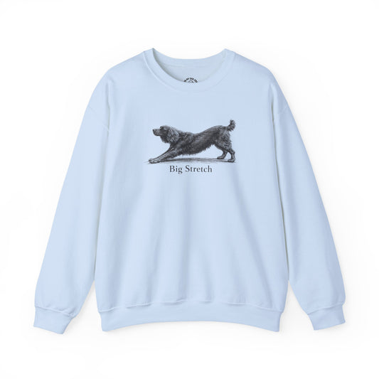 Big Stretch Boykin Spaniel Sweatshirt