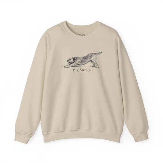 Big Stretch Border Terrier Sweatshirt