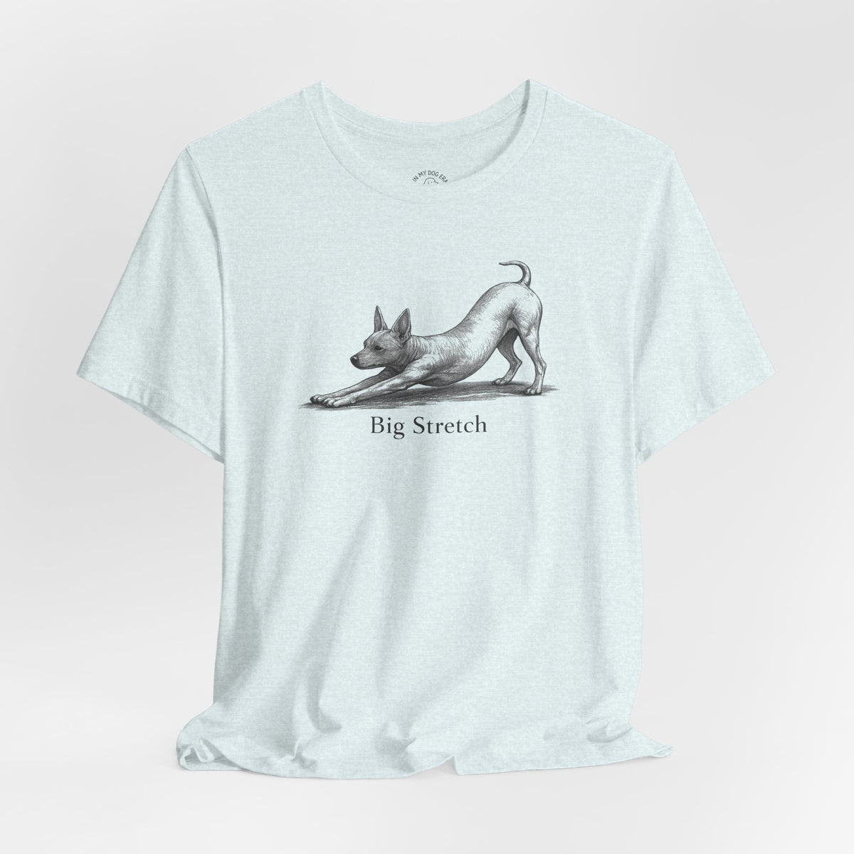 Big Stretch American Hairless Terrier T-Shirt