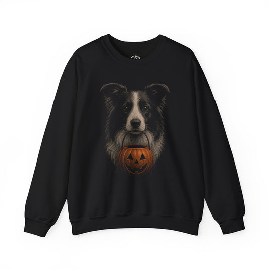 Border Collie Halloween Sweatshirt – Boop or Treat