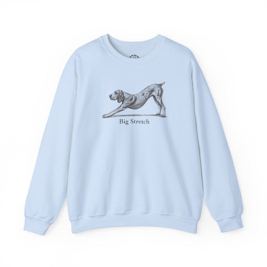 Big Stretch Bracco Italiano Sweatshirt (Docked Tail)
