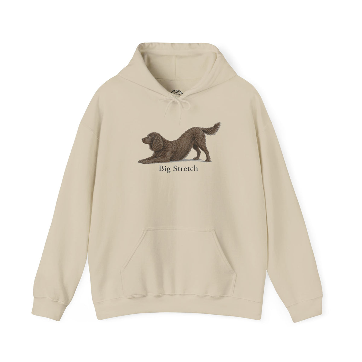Big Stretch American Water Spaniel - Hoodie