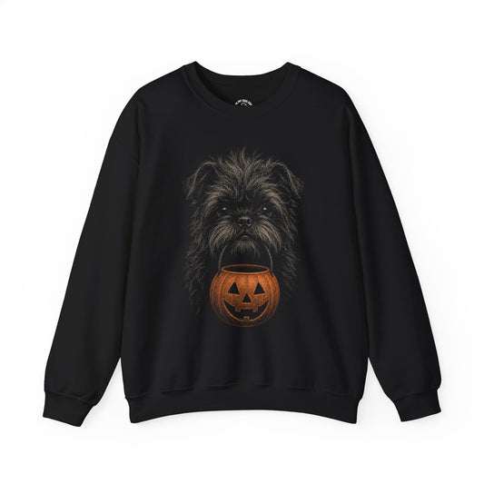 Affenpinscher Halloween Sweatshirt – Boop or Treat