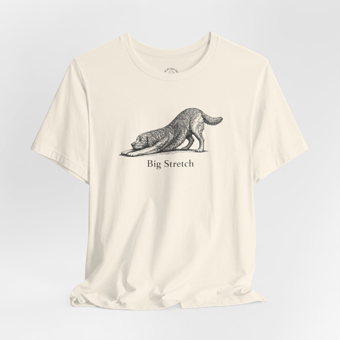 Big Stretch Chesapeake Bay Retriever T-Shirt
