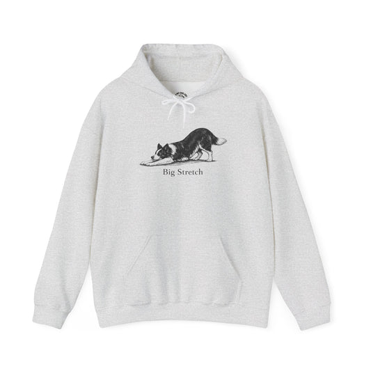 Big Stretch Border Collie - Hoodie