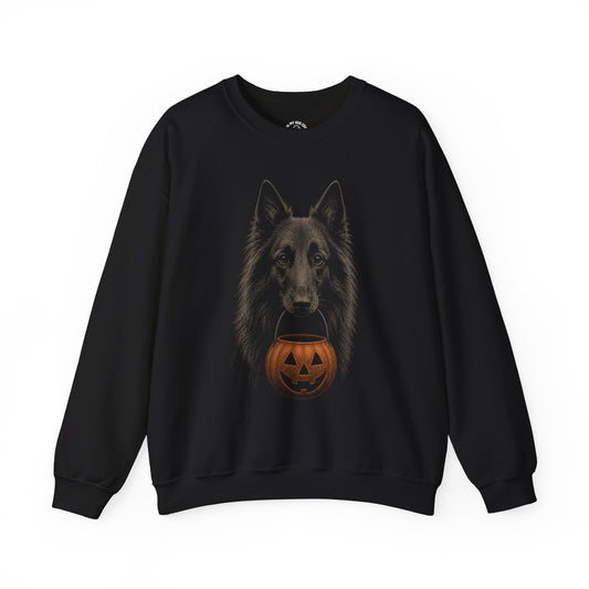 Belgian Shepherd Halloween Sweatshirt – Boop or Treat