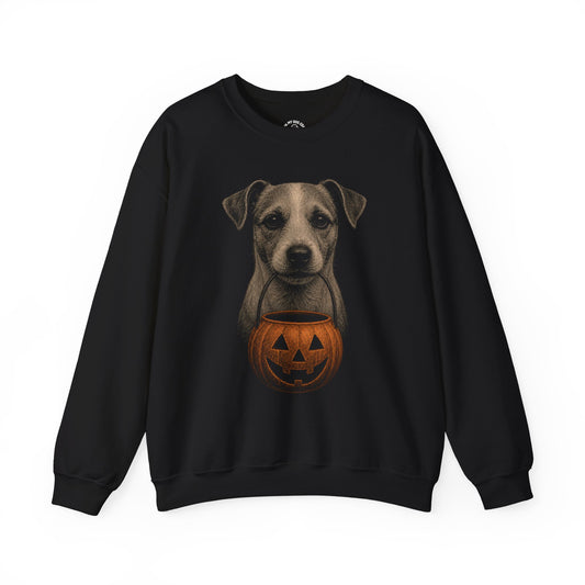 Jack Russell Terrier Halloween Sweatshirt – Boop or Treat