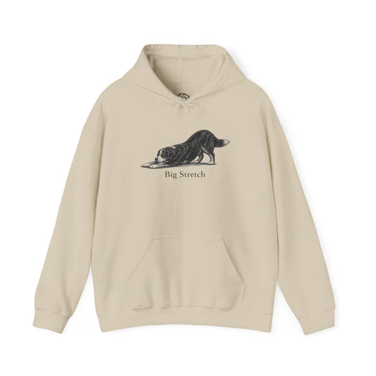Big Stretch Bernese Mountain Dog - Hoodie