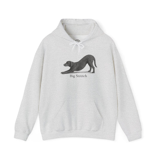 Big Stretch Curly Coated Retriever - Hoodie