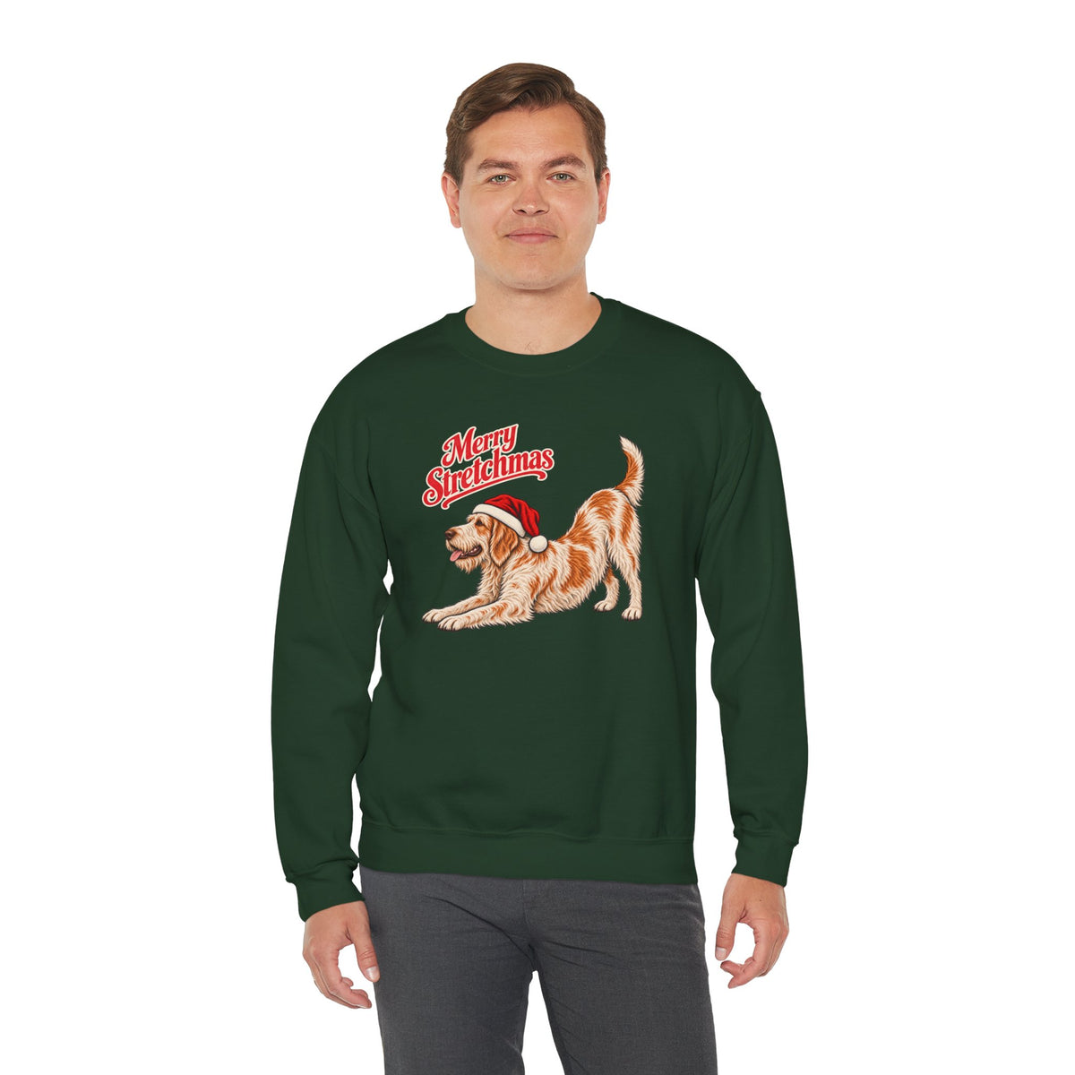 Italian Spinone Christmas Sweatshirt | Merry Stretchmas
