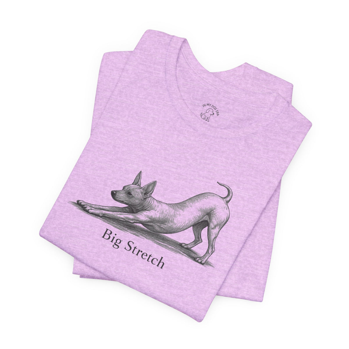 Big Stretch American Hairless Terrier T-Shirt