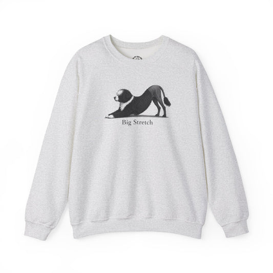 Big Stretch Portuguese Water Dog Sweatshirt (Lion Cut)