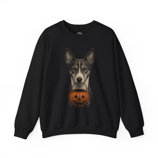 Basenji Halloween Sweatshirt – Boop or Treat
