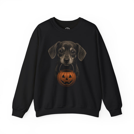 Chiweenie Halloween Sweatshirt – Boop or Treat