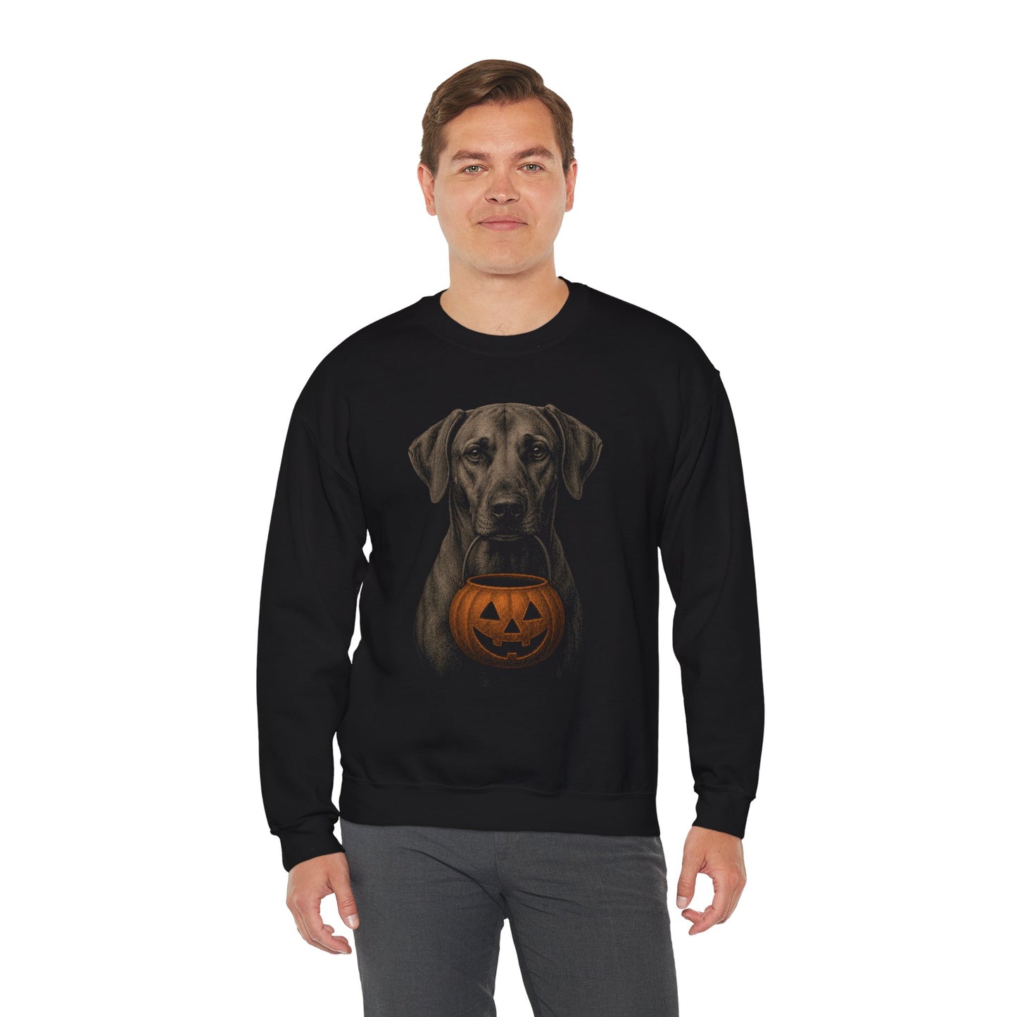 Rhodesian Ridgeback Halloween Sweatshirt – Boop or Treat