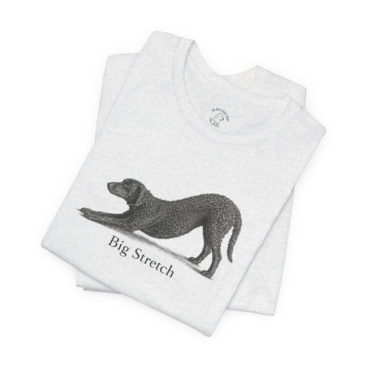 Big Stretch Curly Coated Retriever T-Shirt
