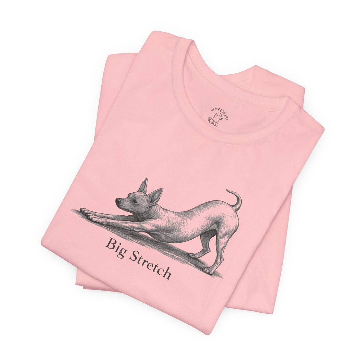 Big Stretch American Hairless Terrier T-Shirt