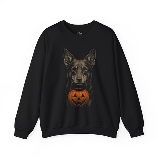 Australian Kelpie Halloween Sweatshirt – Boop or Treat