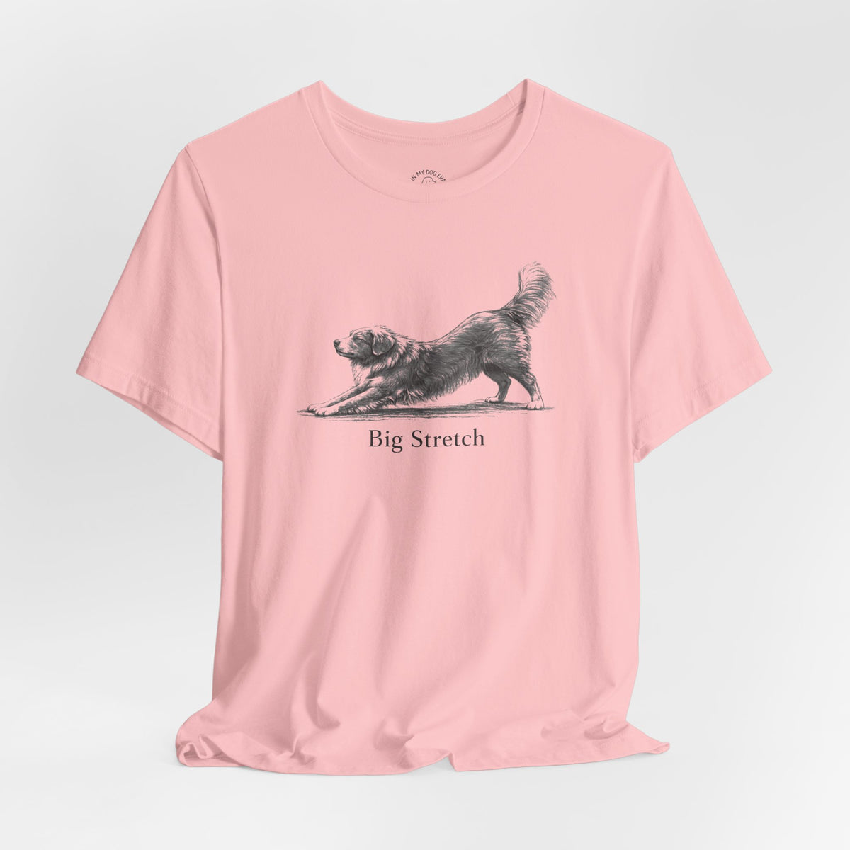 Big Stretch Nova Scotia Duck Tolling Retriever T-Shirt