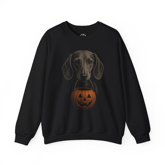 Dachshund Halloween Sweatshirt – Boop or Treat