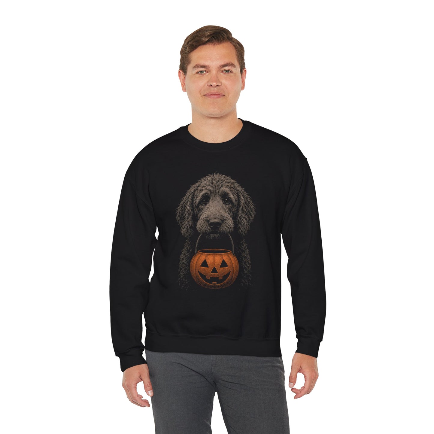 Labradoodle Halloween Sweatshirt – Boop or Treat