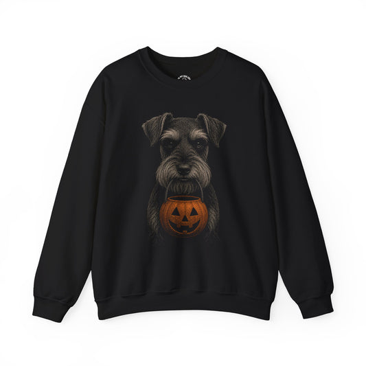 Miniature Schnauzer Halloween Sweatshirt – Boop or Treat