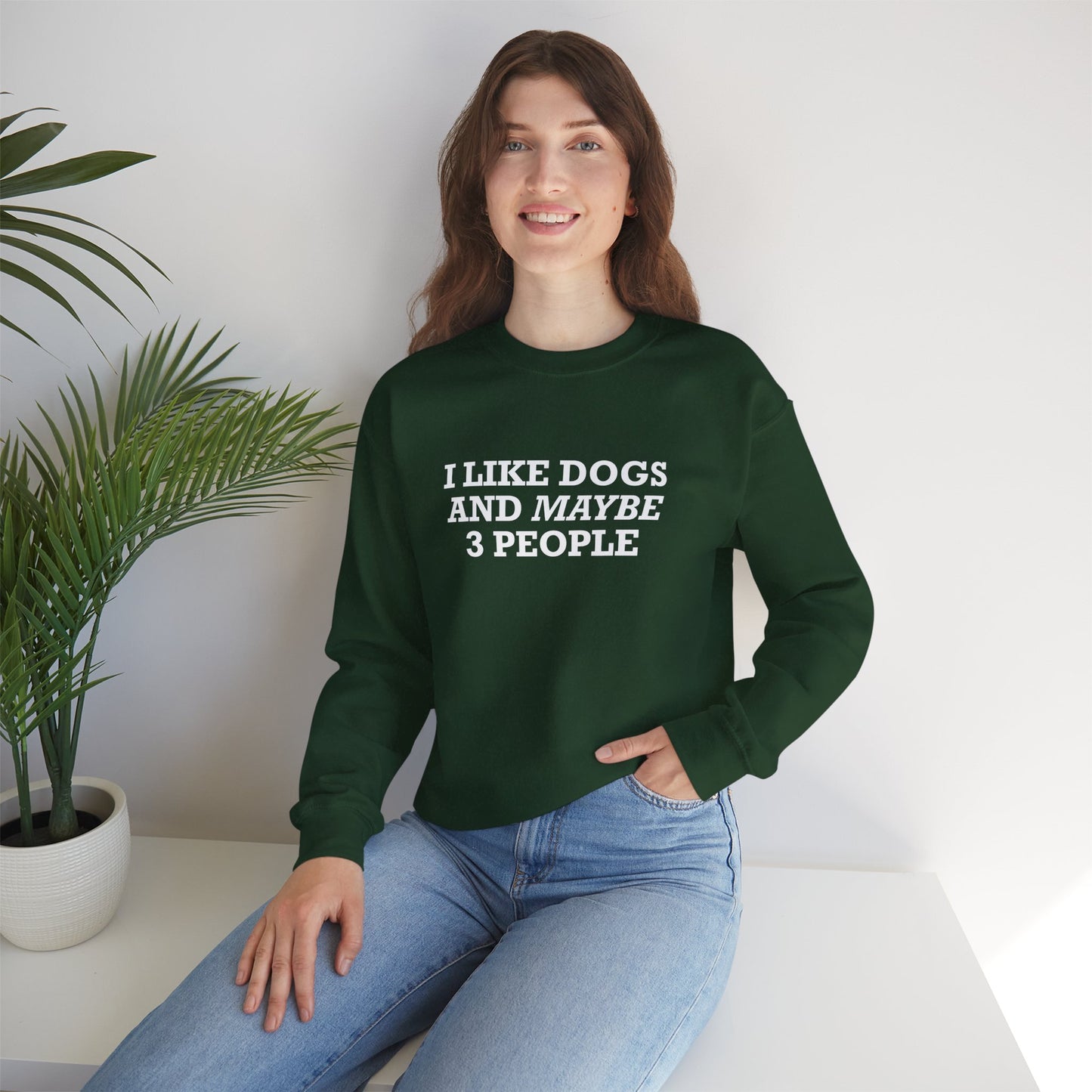 I Like Dogs and Maybe 3 People Sweatshirt – Funny Dog Lover Introvert Shirt for Dog People