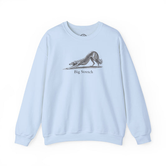 Big Stretch Saluki Sweatshirt