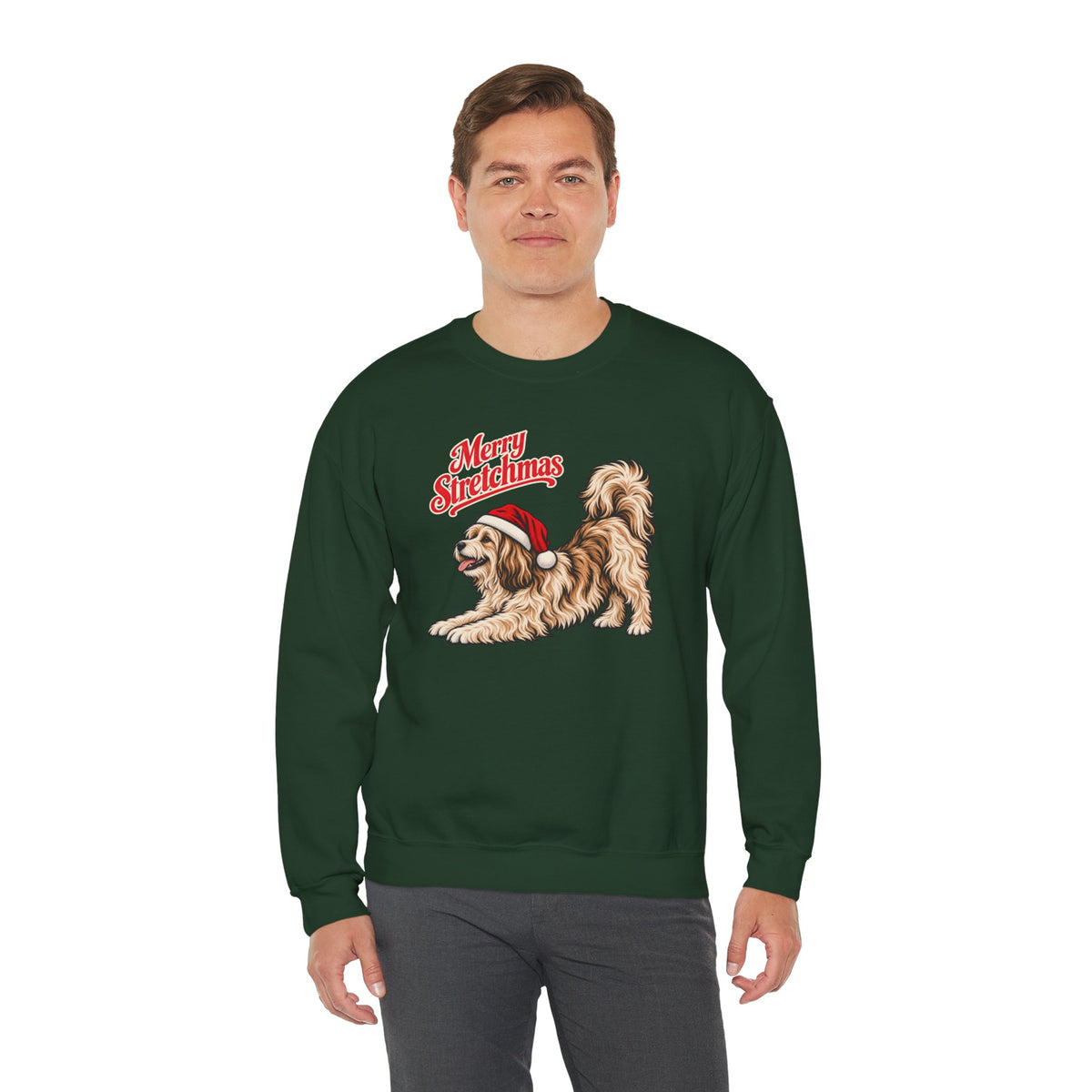 Havanese Christmas Sweatshirt | Merry Stretchmas