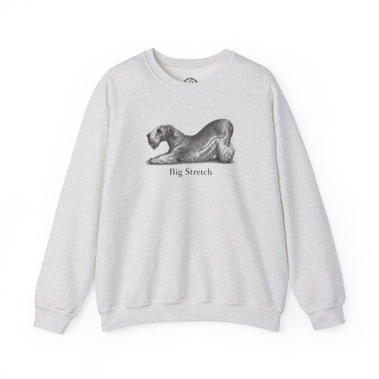 Big Stretch Cesky Terrier Sweatshirt