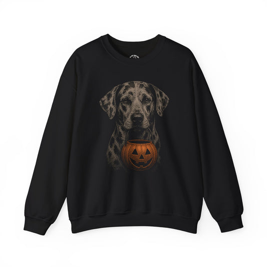 Catahoula Leopard Dog Halloween Sweatshirt – Boop or Treat
