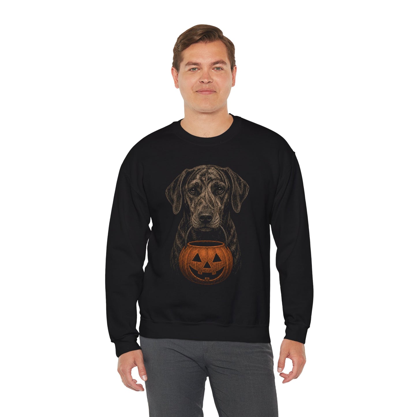 Plott Hound Halloween Sweatshirt – Boop or Treat