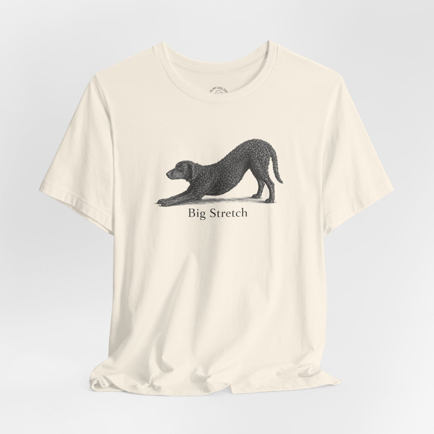 Big Stretch Curly Coated Retriever T-Shirt