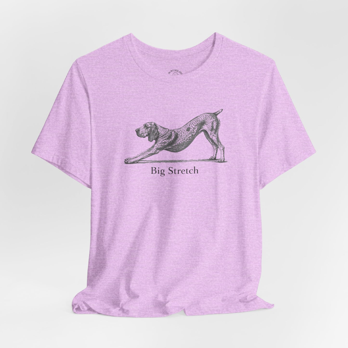 Big Stretch Bracco Italiano T-Shirt (Docked Tail)