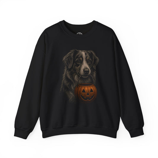 Australian Shepherd Halloween Sweatshirt – Boop or Treat