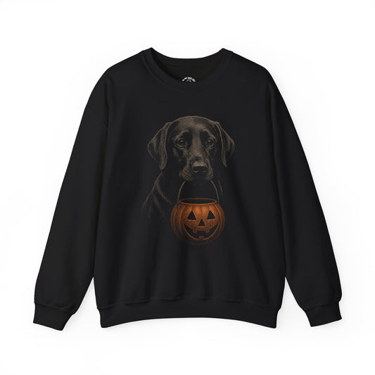 Black Labrador Retriever Halloween Sweatshirt – Boop or Treat