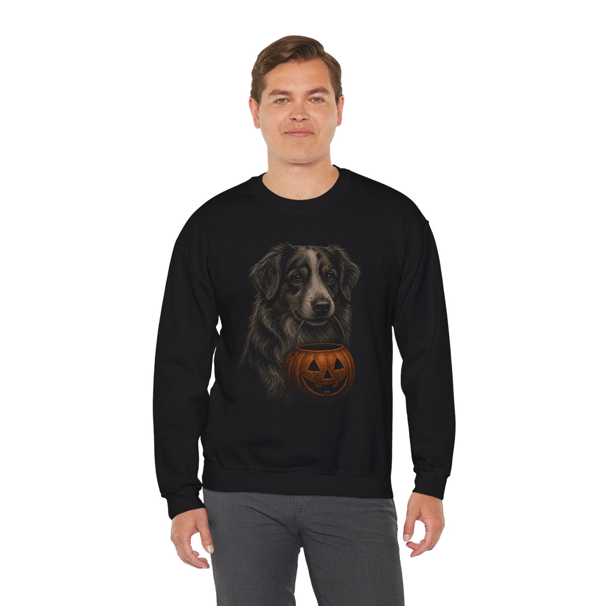 Australian Shepherd Halloween Sweatshirt – Boop or Treat