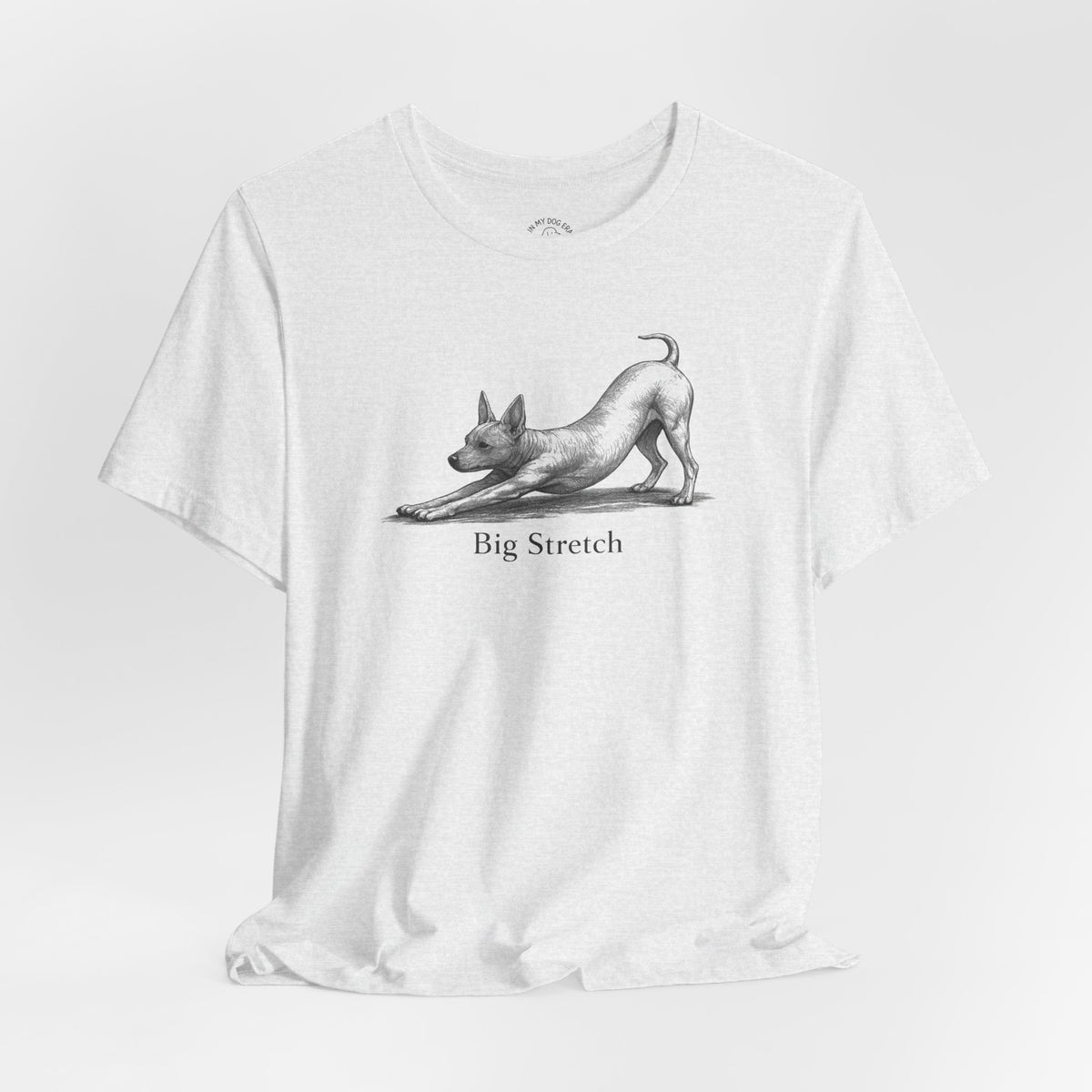 Big Stretch American Hairless Terrier T-Shirt
