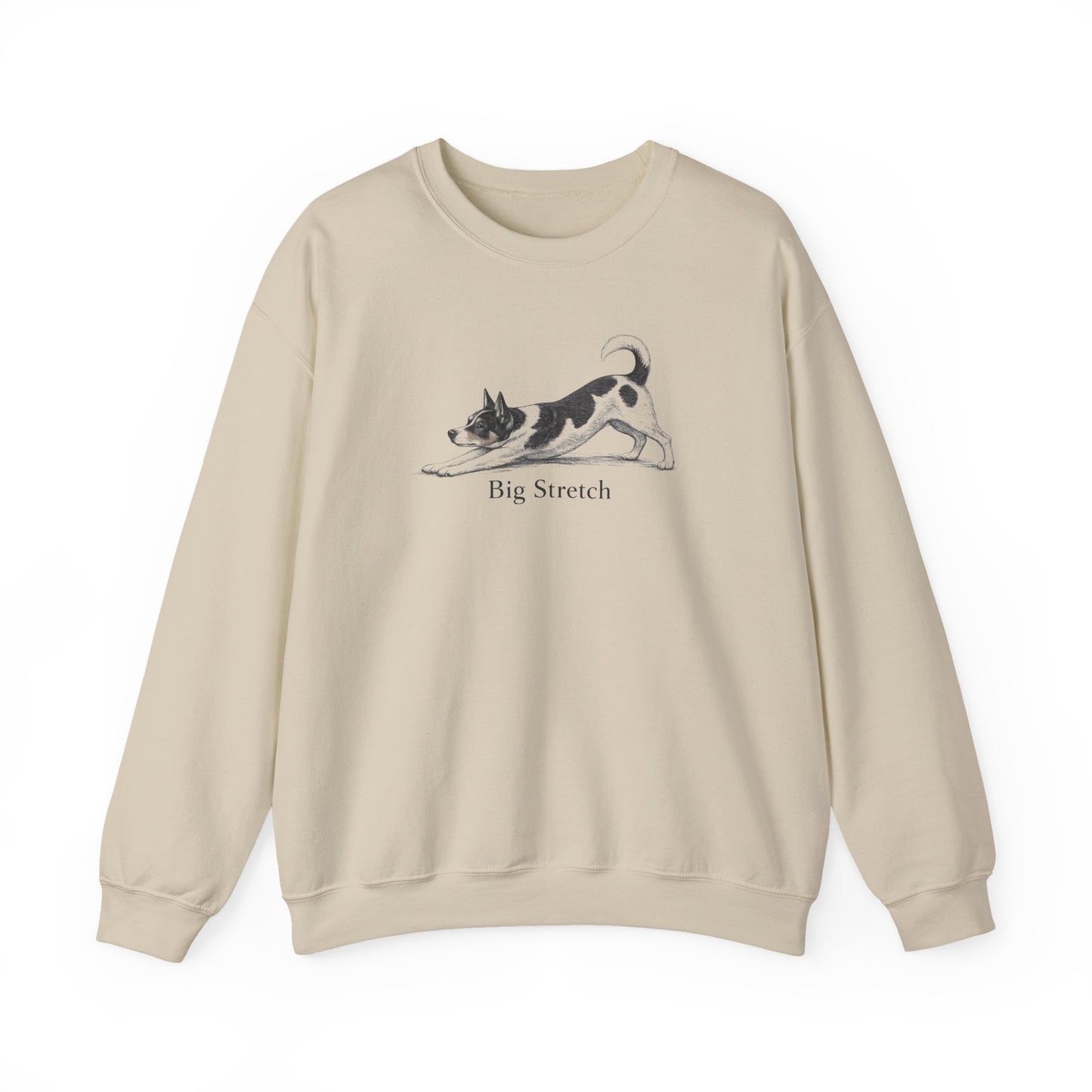 Big Stretch Rat Terrier Sweatshirt