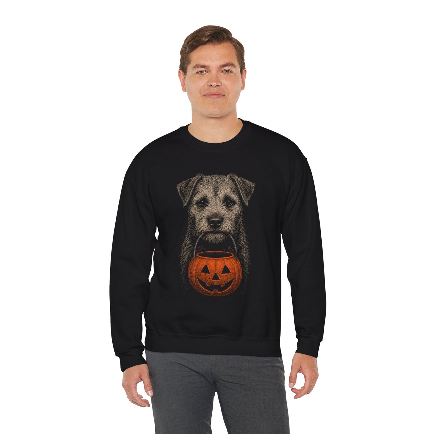 Border Terrier Halloween Sweatshirt – Boop or Treat