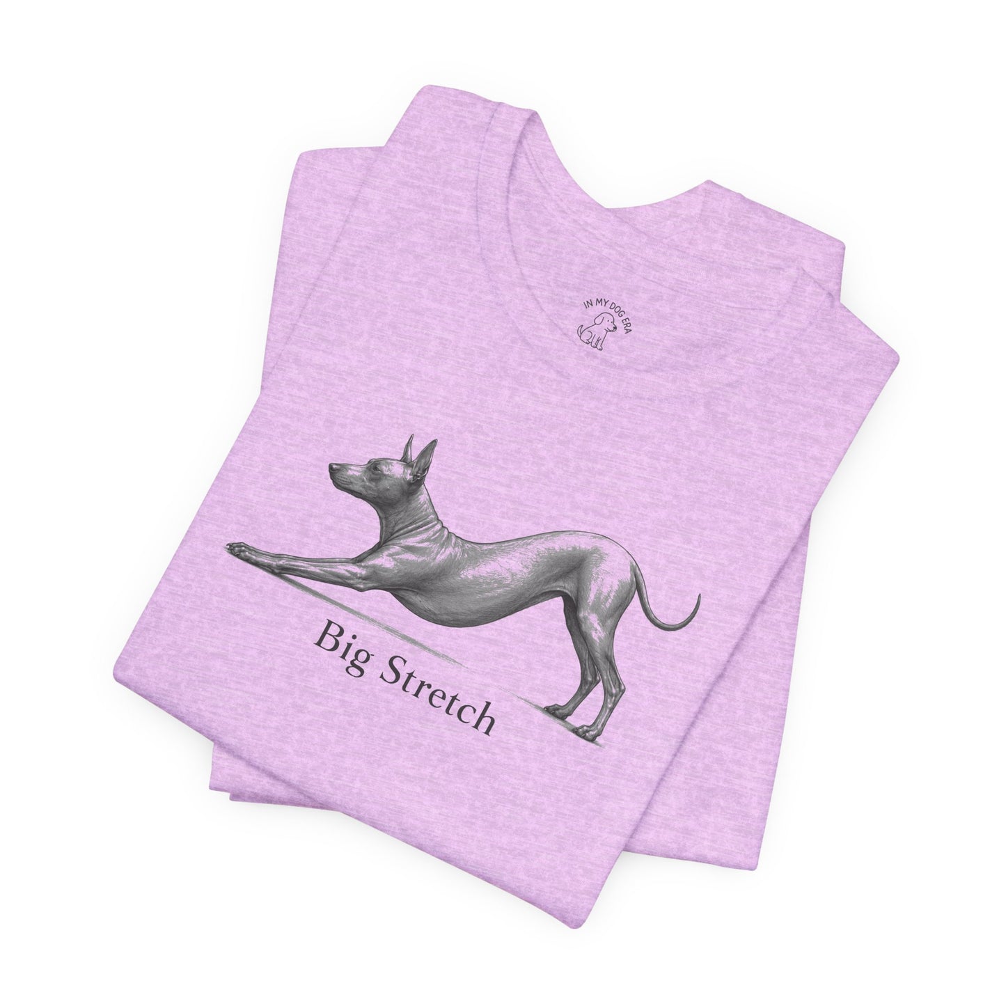 Big Stretch Xoloitzcuintli T-Shirt
