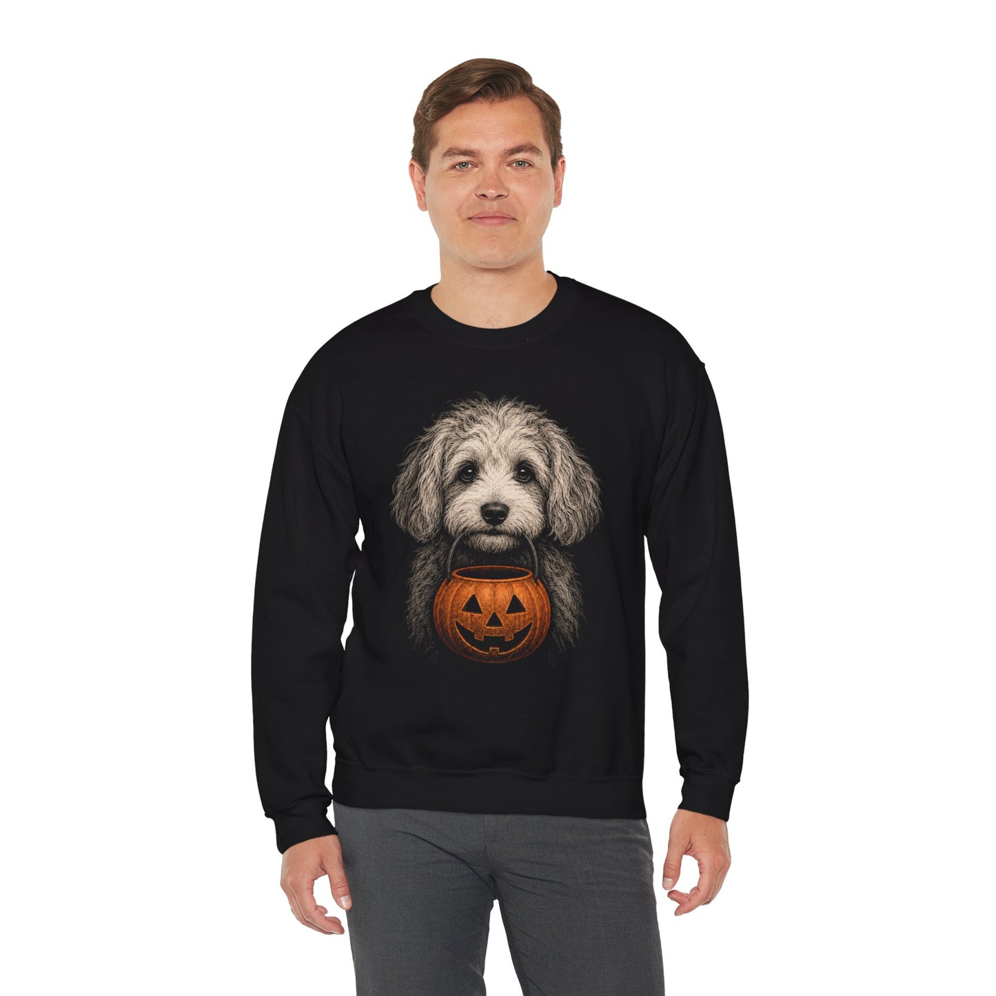 Cavachon Halloween Sweatshirt – Boop or Treat
