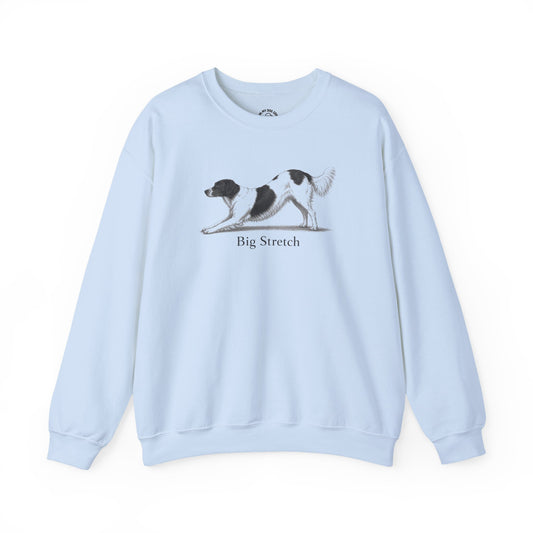 Big Stretch Drentsche Patrijshond Sweatshirt